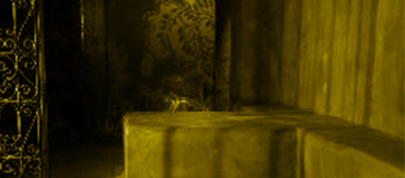 Hammam Organics